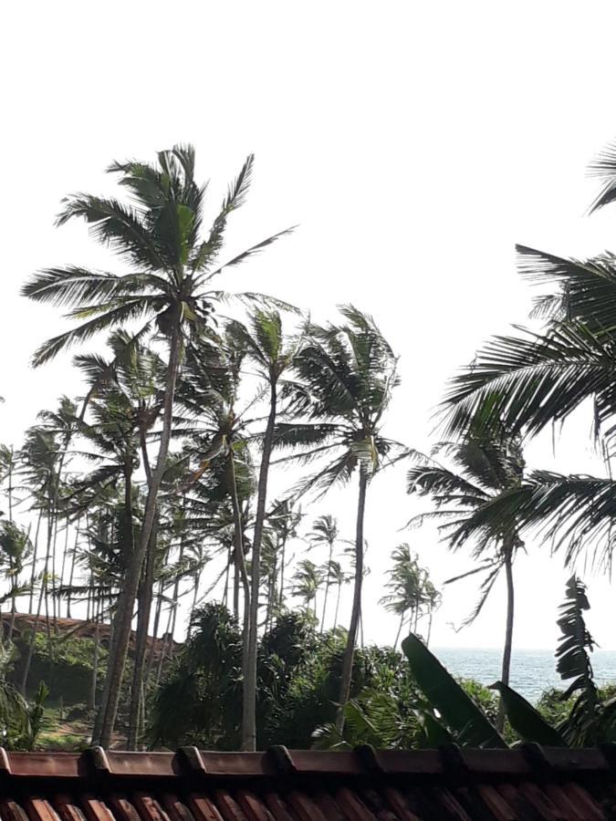 Coconut Reach Hotel Mirissa Exterior photo