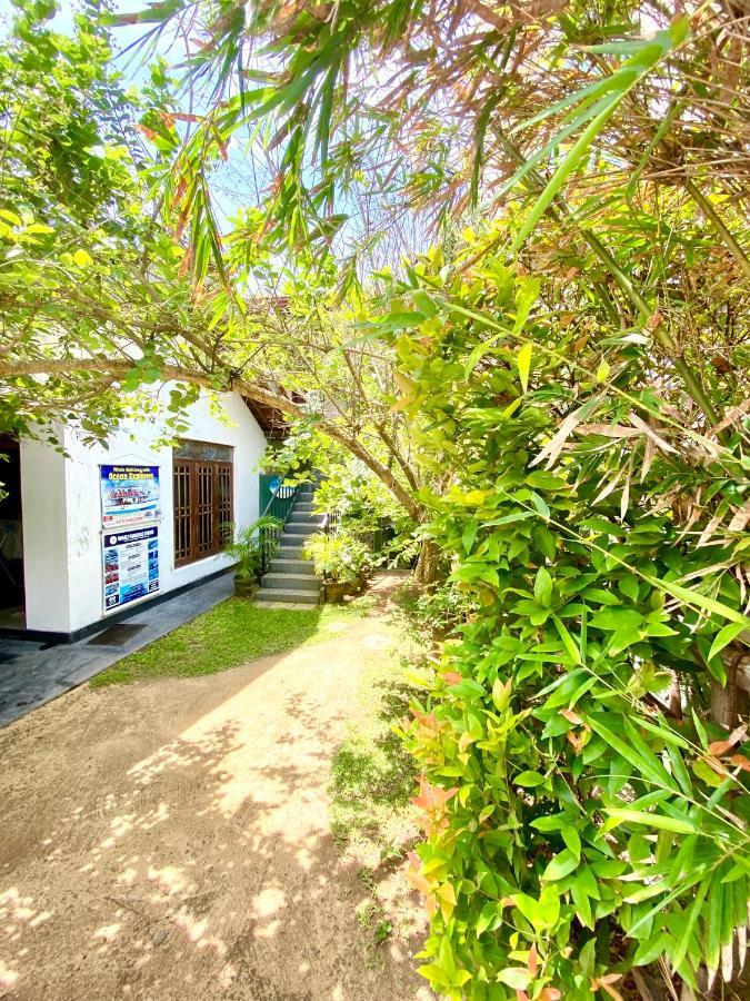 Coconut Reach Hotel Mirissa Exterior photo